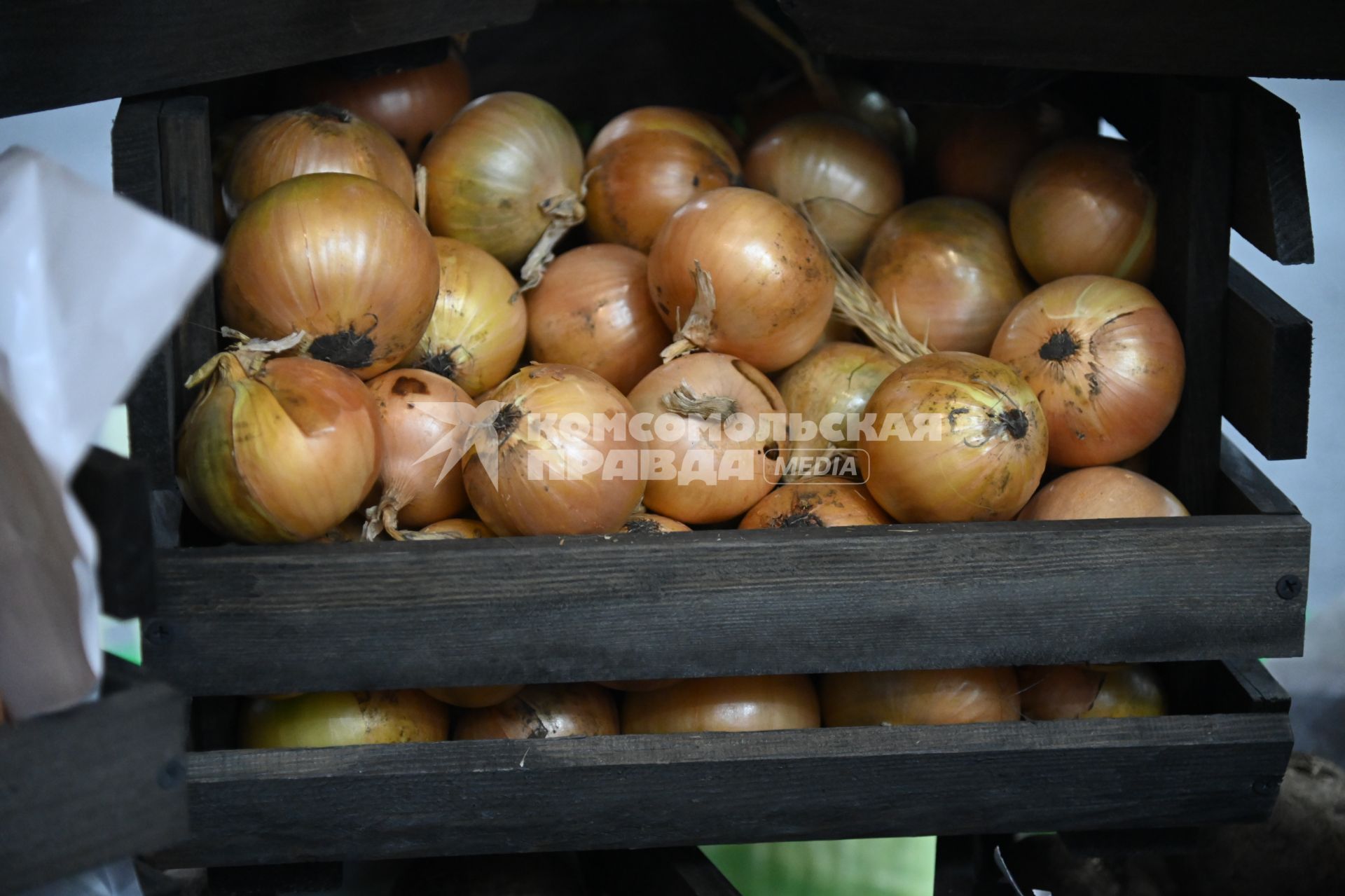 XIII Межрегиональная агропромышленная выставка \"Агропром Урал\"