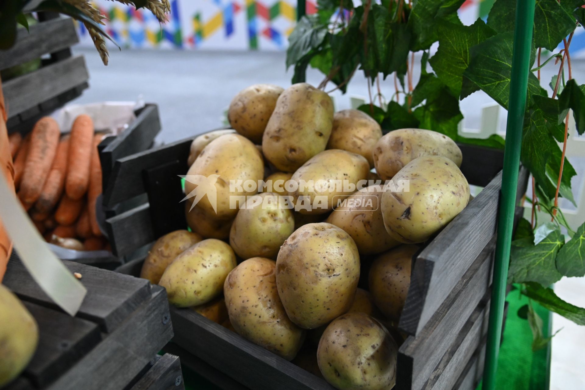 XIII Межрегиональная агропромышленная выставка \"Агропром Урал\"