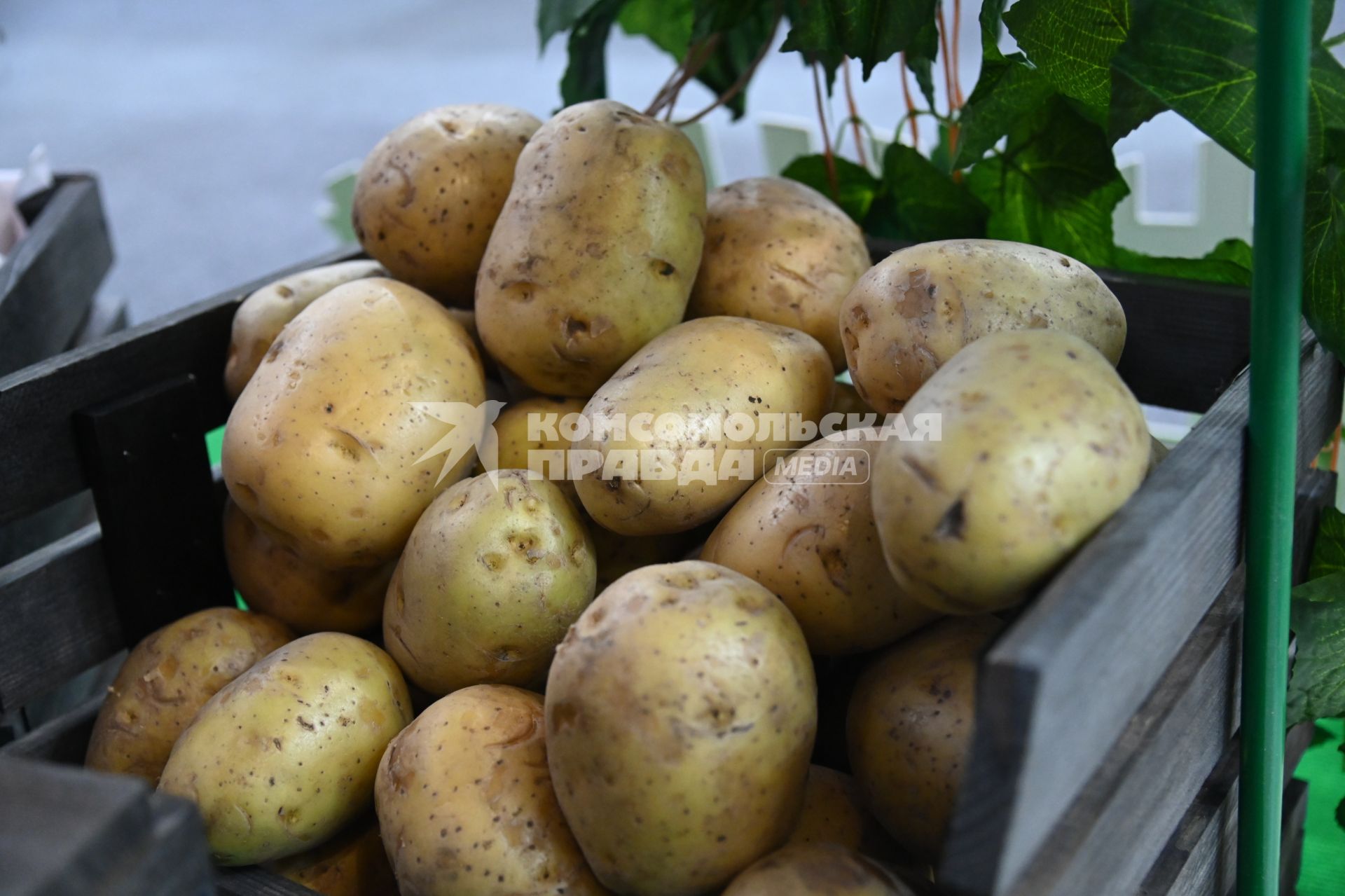 XIII Межрегиональная агропромышленная выставка \"Агропром Урал\"