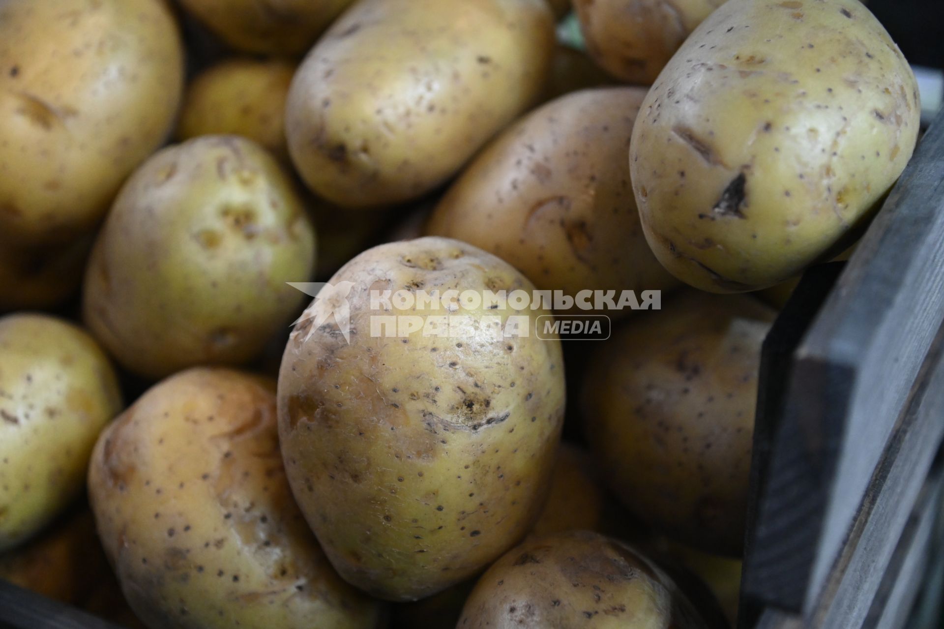 XIII Межрегиональная агропромышленная выставка \"Агропром Урал\"