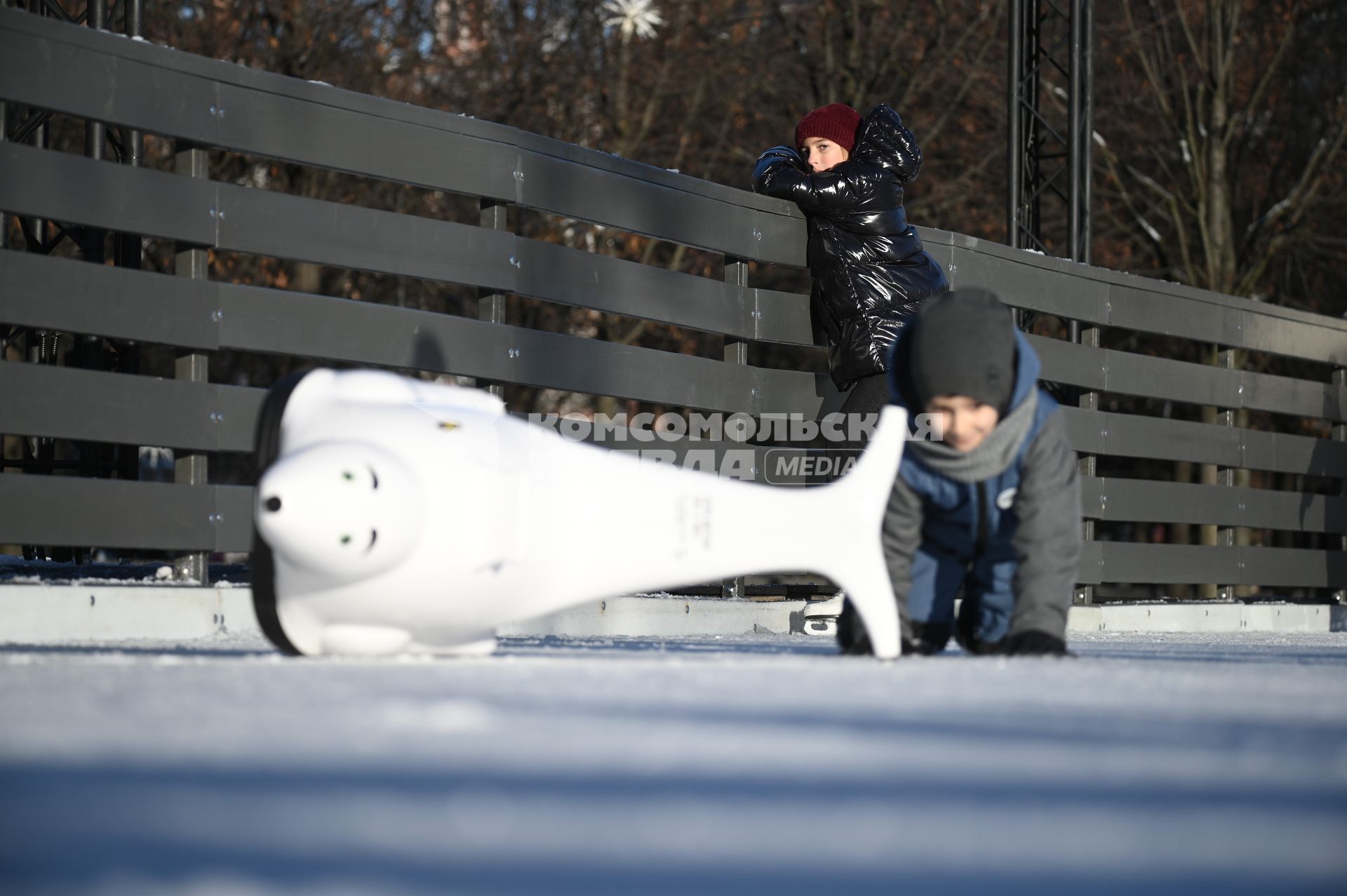 Первый каток в Петербурге начал работать в Новой Голландии