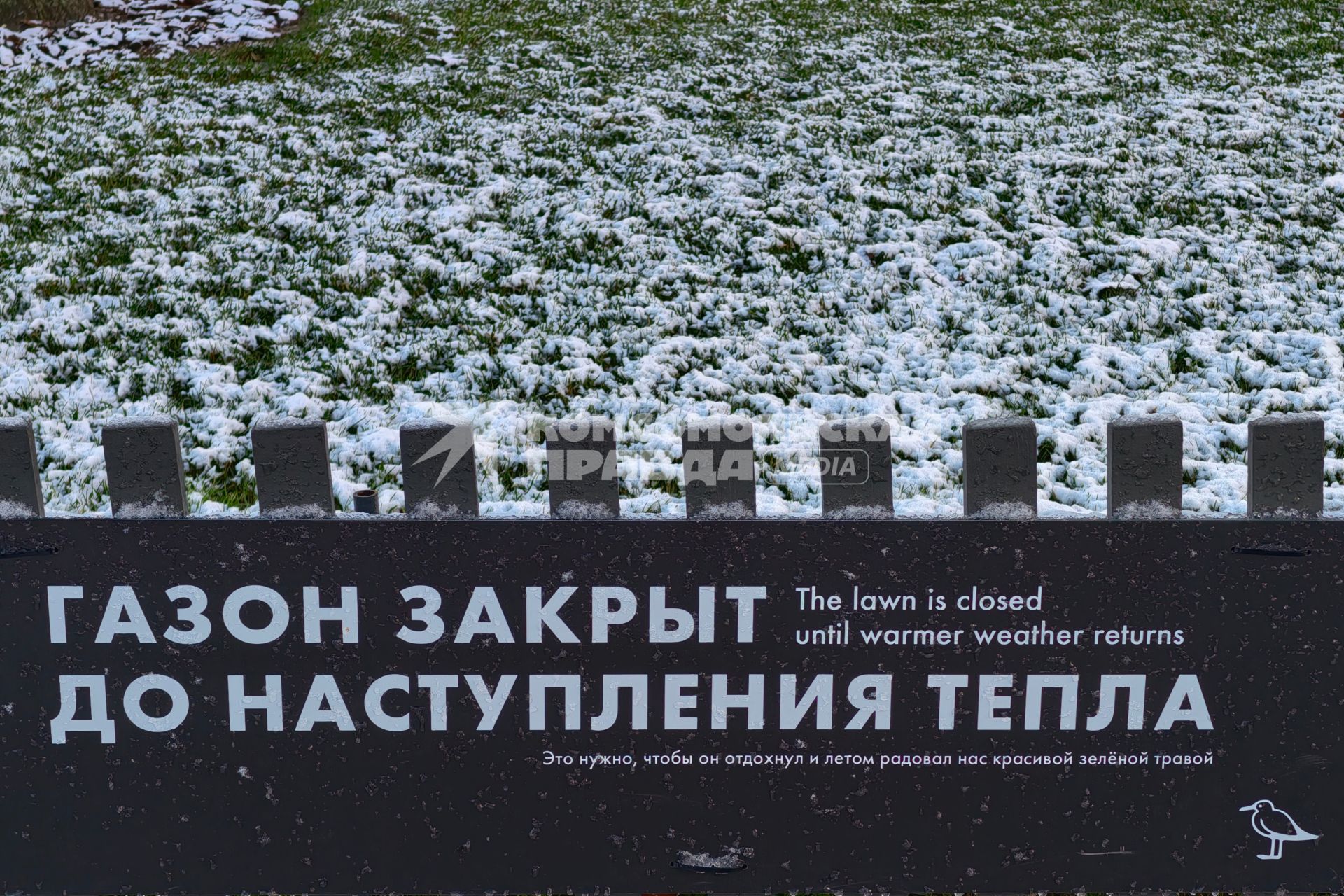 Первый каток в Петербурге начал работать в Новой Голландии