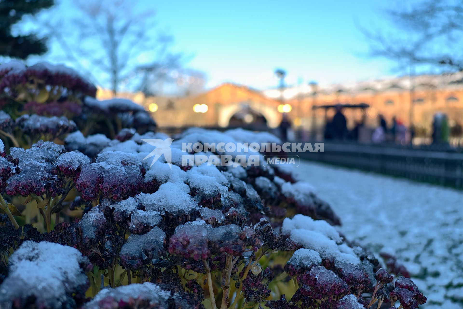 Первый каток в Петербурге начал работать в Новой Голландии