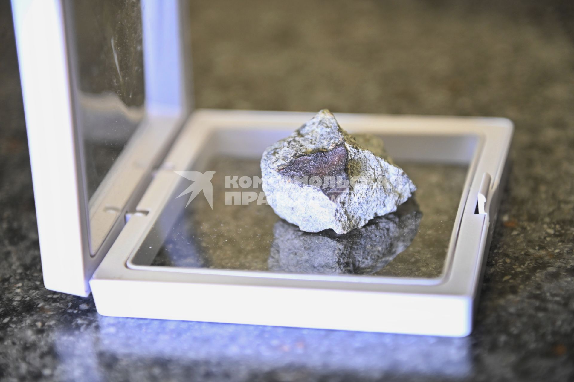 Фрагмент метеорита, упавшего 27 октября в Новгородской области, привезли в Екатеринбург