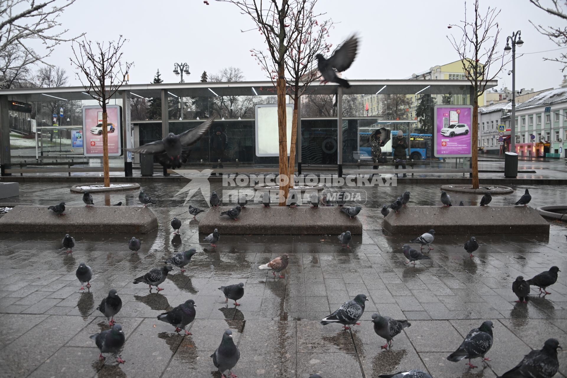 Первый снег в Москве