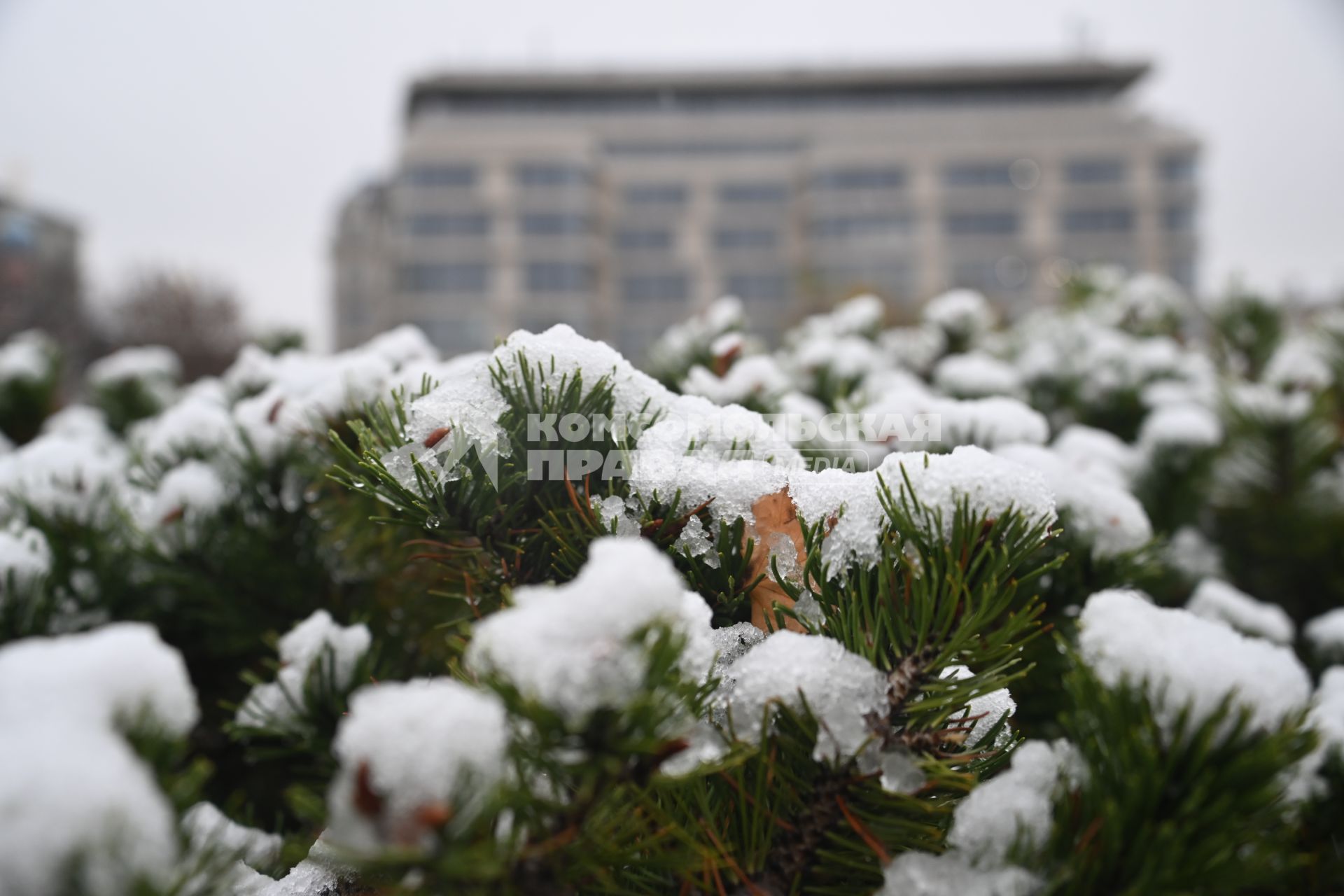 Первый снег в Москве