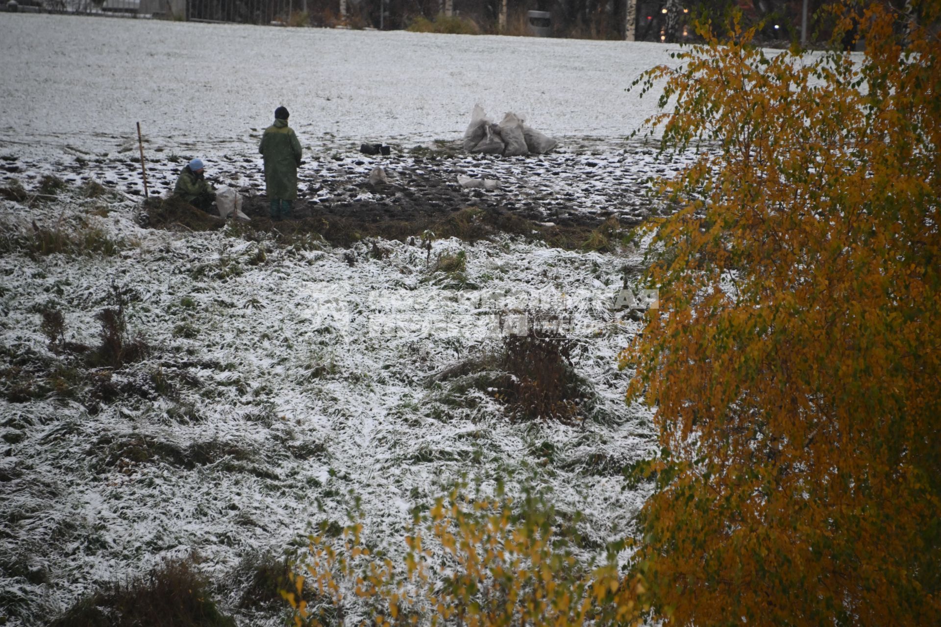 Первый снег в Москве