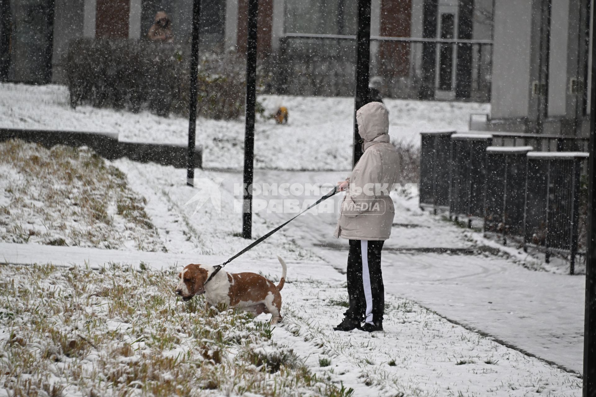 Первый снег в Москве