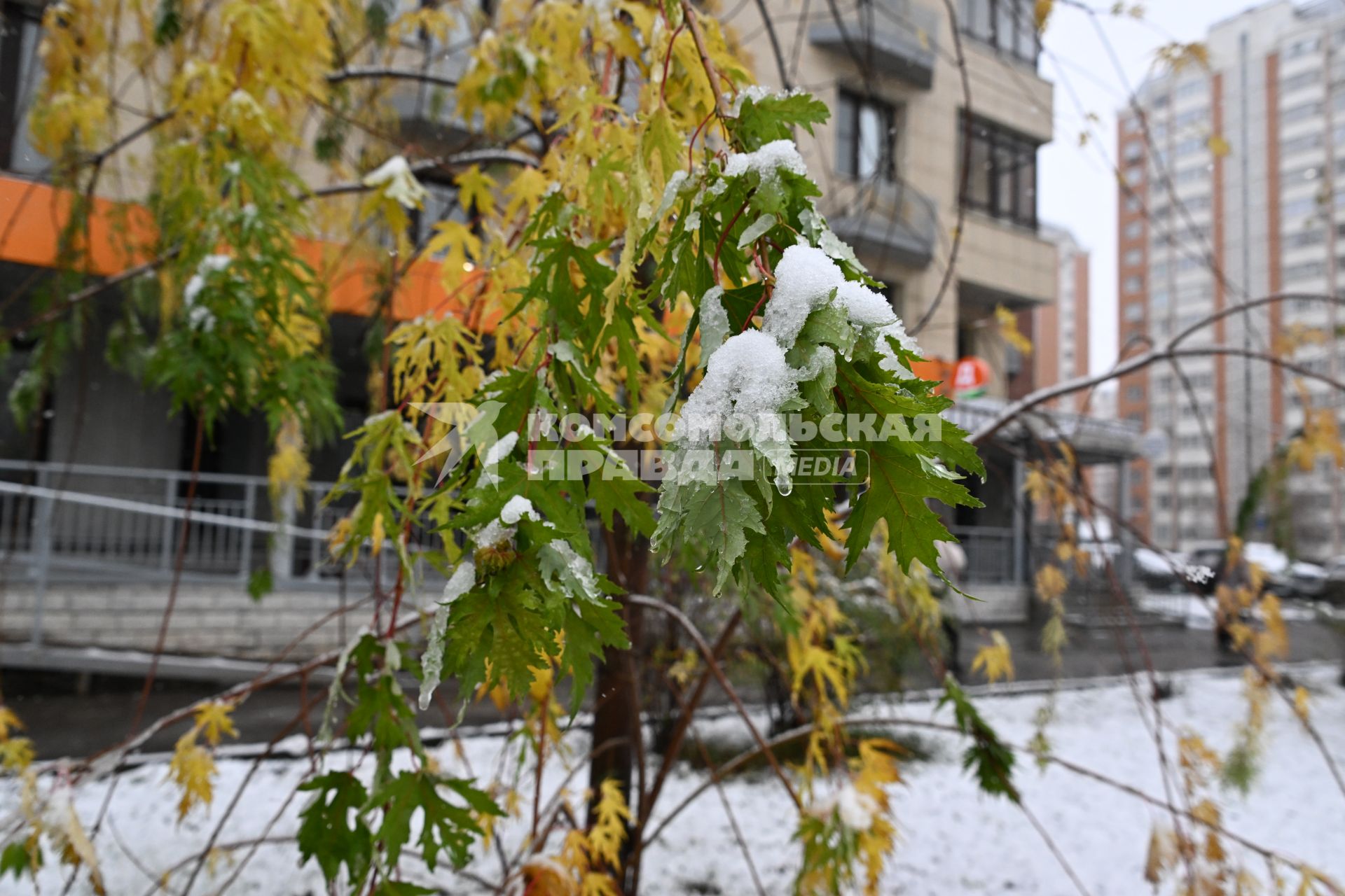Первый снег в Москве