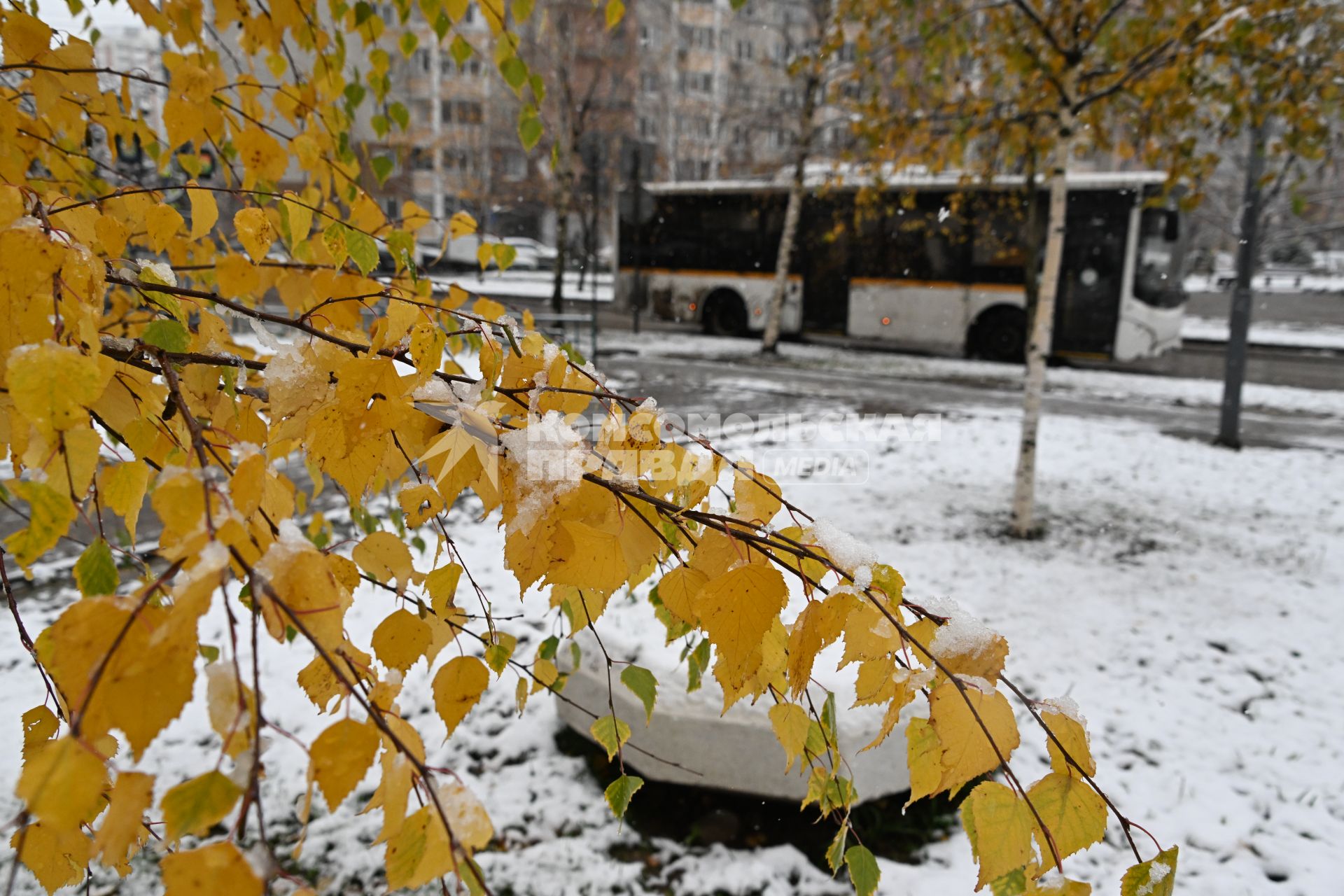 Первый снег в Москве