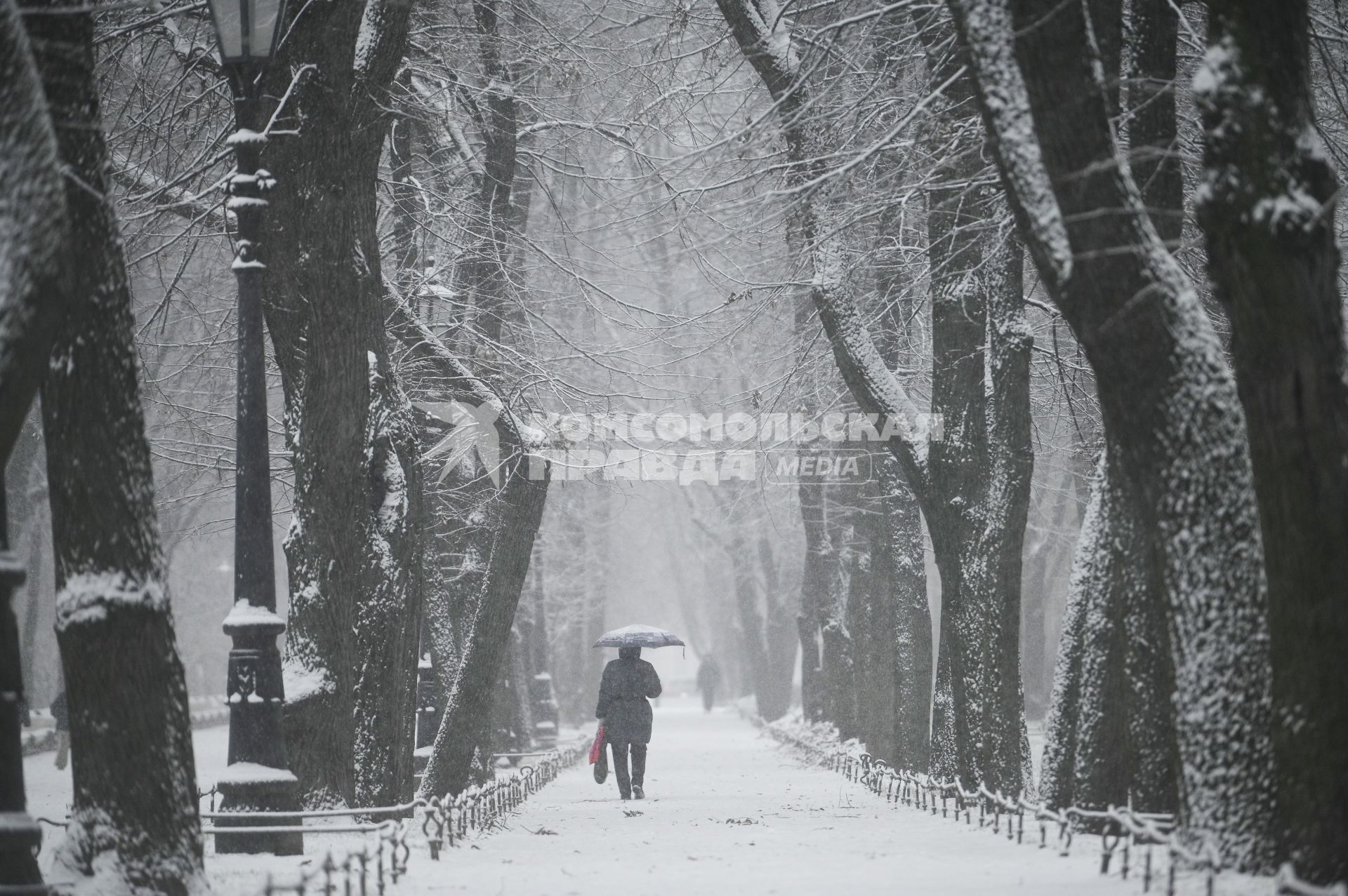 Снегопад в Санкт-Петербурге