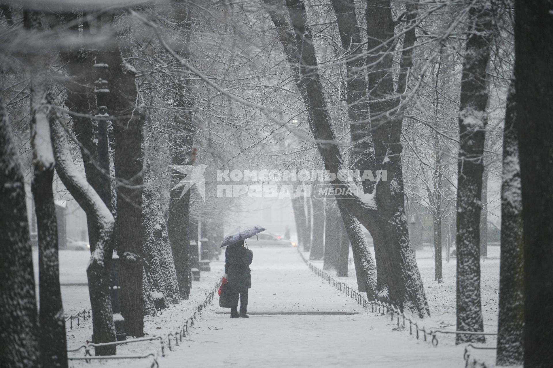 Снегопад в Санкт-Петербурге
