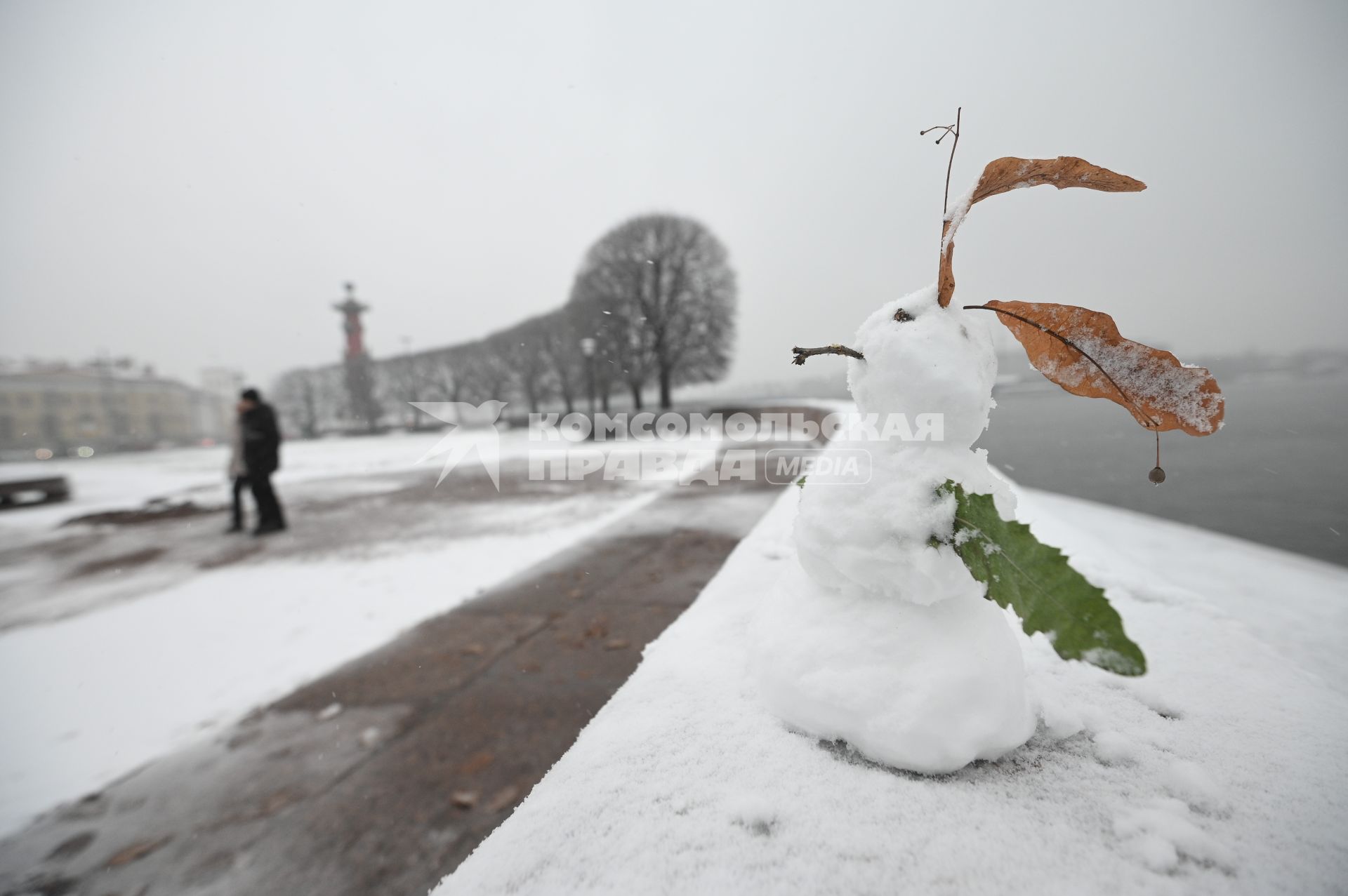 Снегопад в Санкт-Петербурге