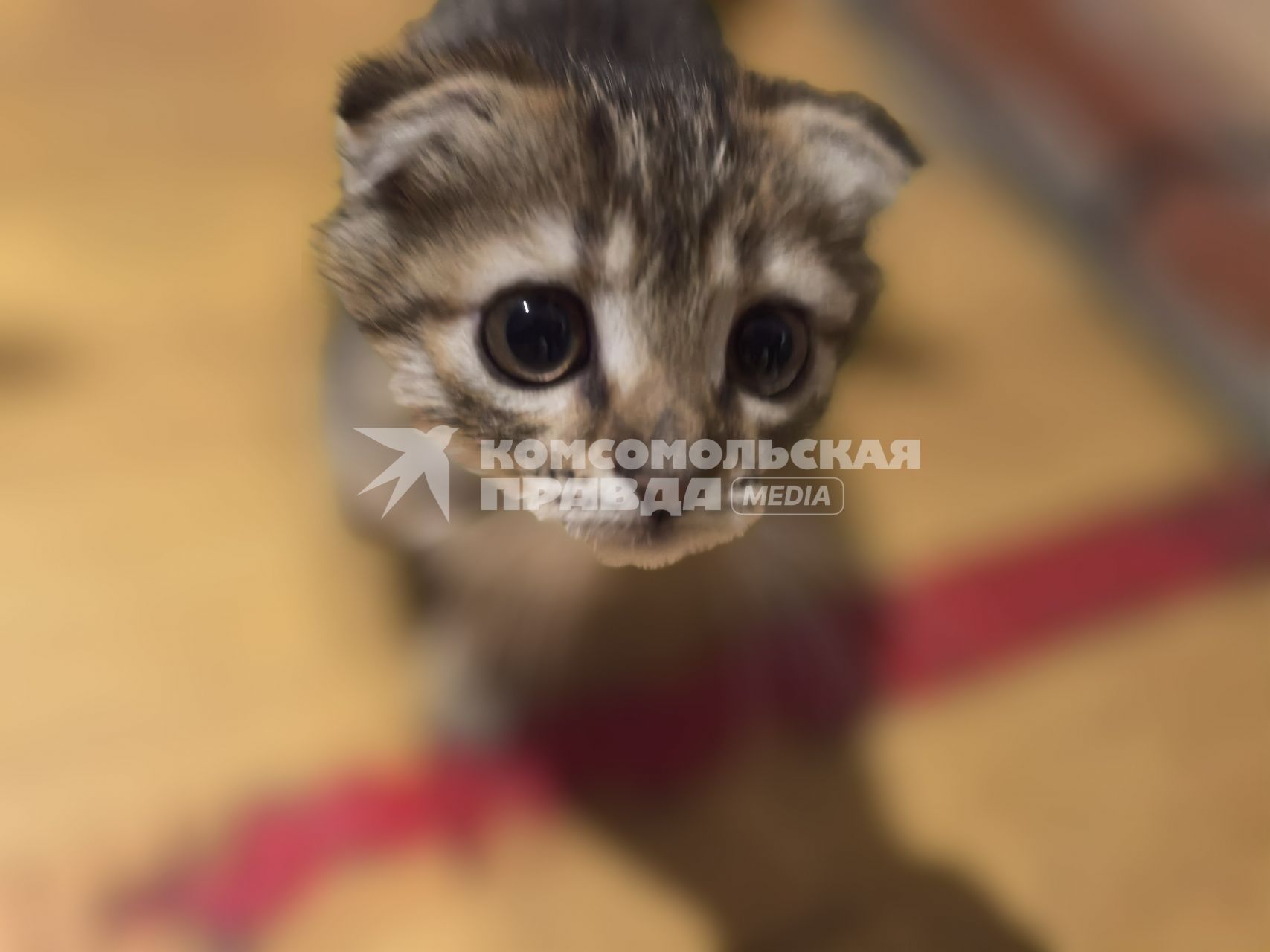 Как живут в Селидово после освобождения от ВСУ