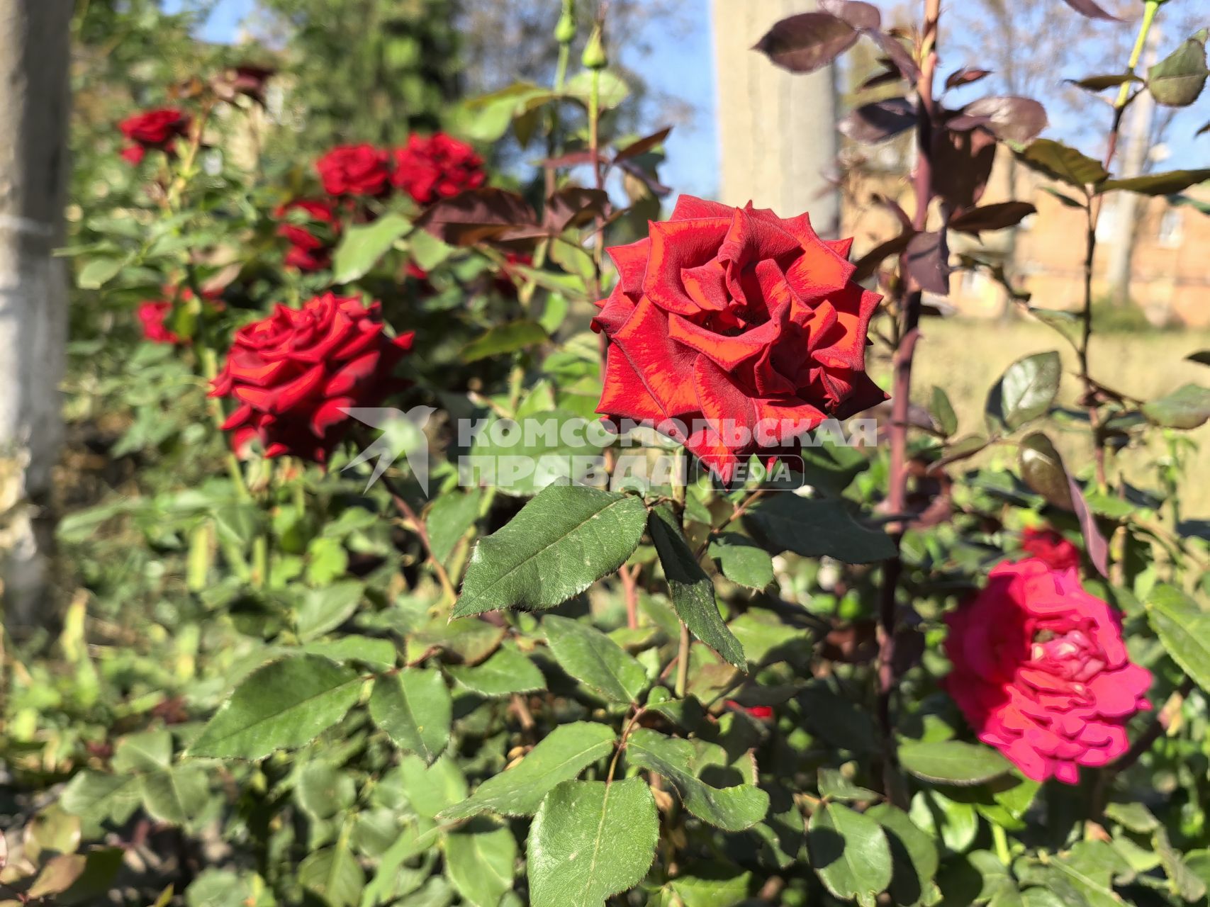 Как живут в Селидово после освобождения от ВСУ